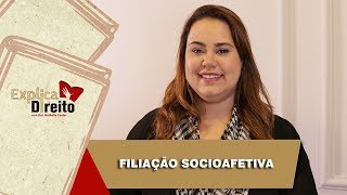 Explica Direito Filiação Socioafetiva  2019 [upl. by Yerok103]